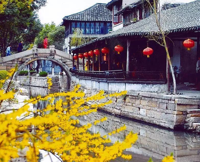 瑞德的冒险之旅中文版